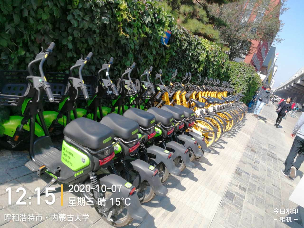 共享單車(chē)下載很簡(jiǎn)單，不同品牌區(qū)別大嗎?