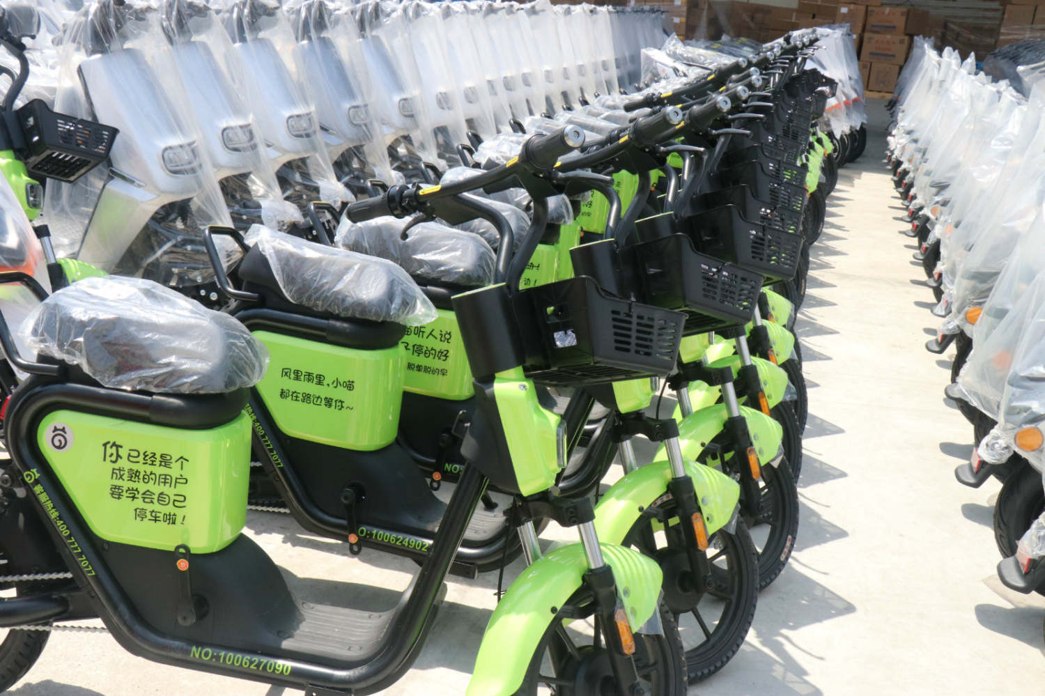 共享單車(chē)青桔好嗎？滴滴將以何種角色出現(xiàn)?